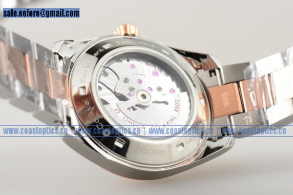 Omega Seamaster Aqua Terra 150M Watch Two Tone 231.20.42.21.02.001 (YF)