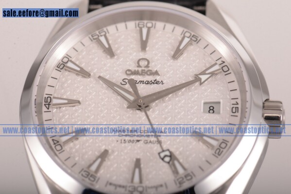 Best Replica Omega Seamaster Aqua Terra 150M Co-Axial Watch Steel 231.13.39.21.02.001 - Click Image to Close