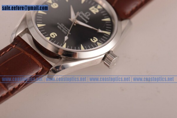 Best Replica Omega Seamaster Aqua Terra Railmaster Watch Steel Case 2803.52.38