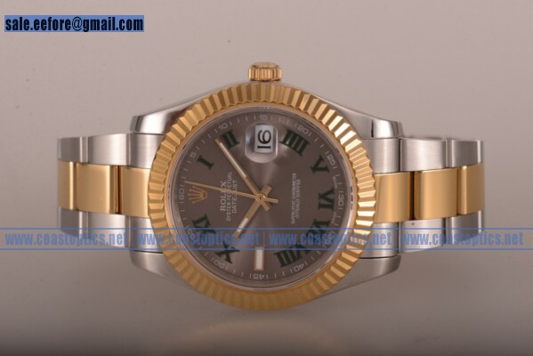 Rolex Datejust Perfect Replica Watch Two Tone 116233 rgreo (BP)