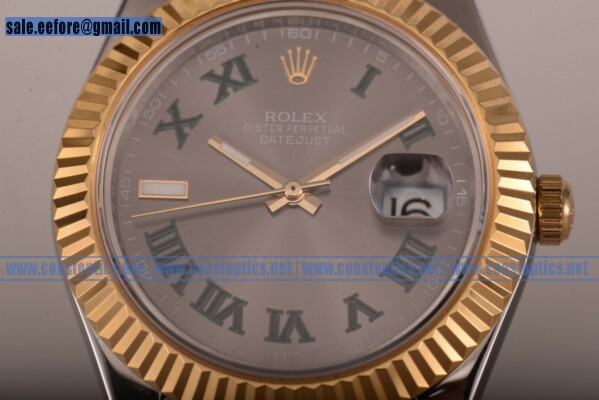 Rolex Datejust Perfect Replica Watch Two Tone 116233 rgreo (BP)