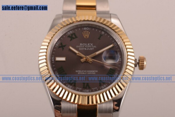 Best Replica Rolex Datejust Watch Two Tone Case 16233 rgreo