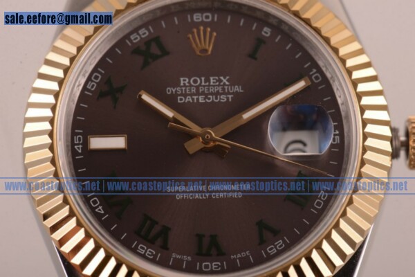 Best Replica Rolex Datejust Watch Two Tone Case 16233 rgreo - Click Image to Close