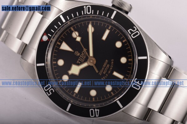 Best Replica Tudor Heritage Black Bay Watch Steel 79221B (1:1 Original) - Click Image to Close